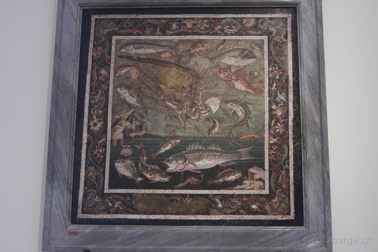 EOS 40D03_05_20120260.JPG